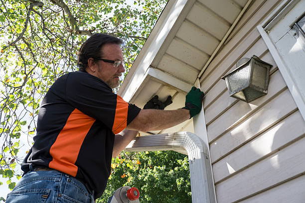 Siding Removal and Disposal in Chalco, NE